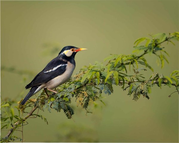 comment bien prendre soin de ses pieds en tant que joueur de football