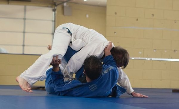 Jiu-Jitsu brésilien: maîtriser le sport et l'art martial pour tous les niveaux